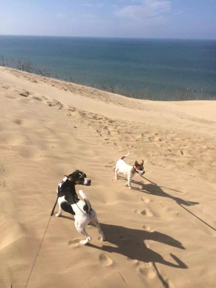 Rubjerg Mile billede 33