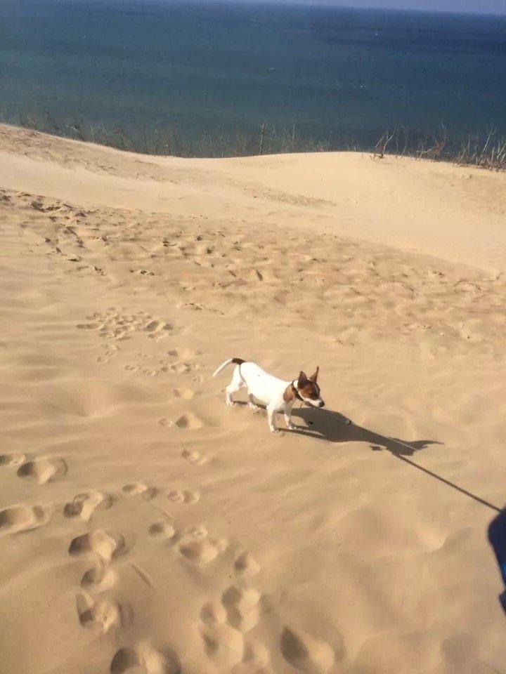 Rubjerg Mile billede 32