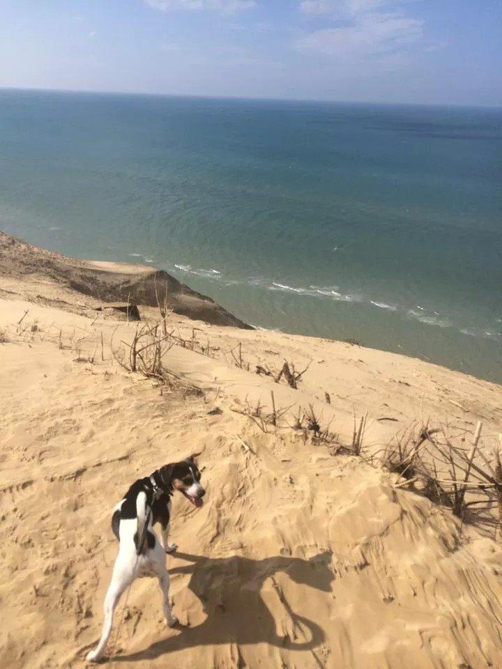 Rubjerg Mile billede 28