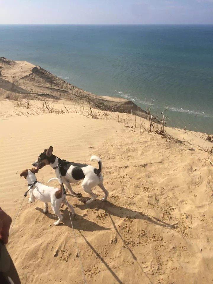 Rubjerg Mile billede 26