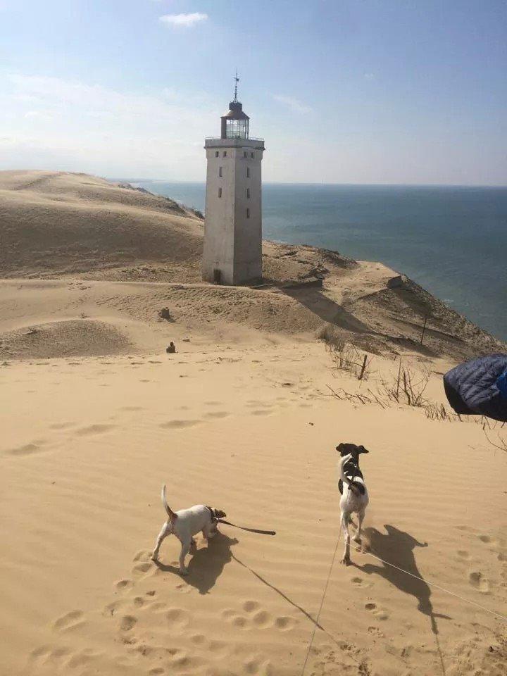 Rubjerg Mile billede 23