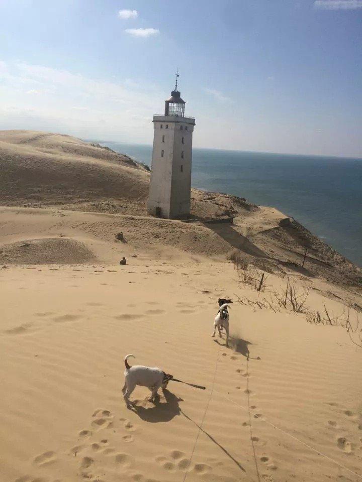 Rubjerg Mile billede 22