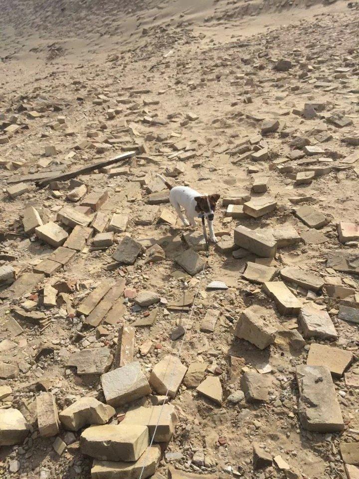 Rubjerg Mile billede 19