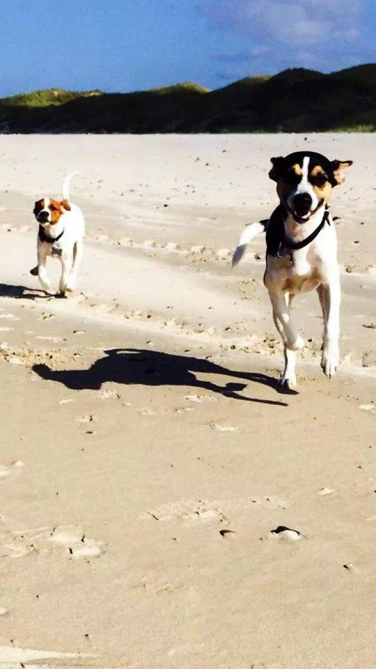 Rubjerg Mile billede 16