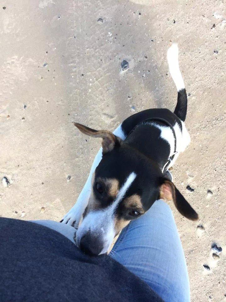 Rubjerg Mile billede 14