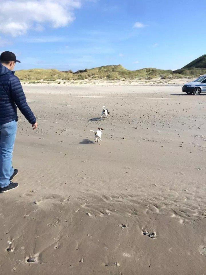 Rubjerg Mile billede 12