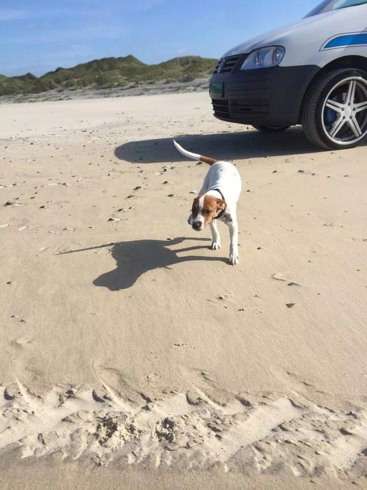 Rubjerg Mile billede 9