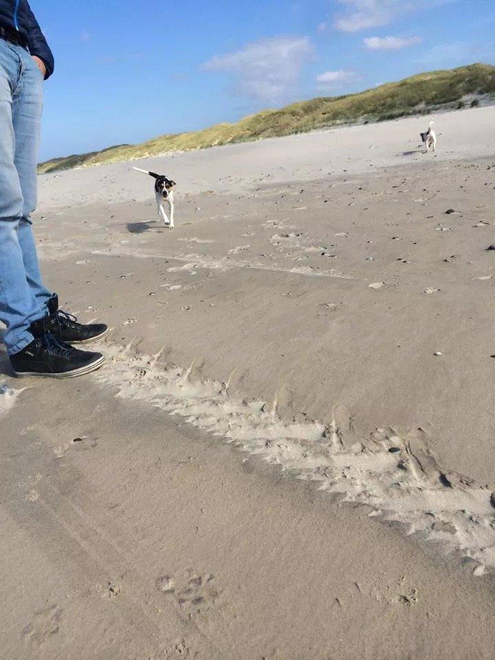 Rubjerg Mile billede 8