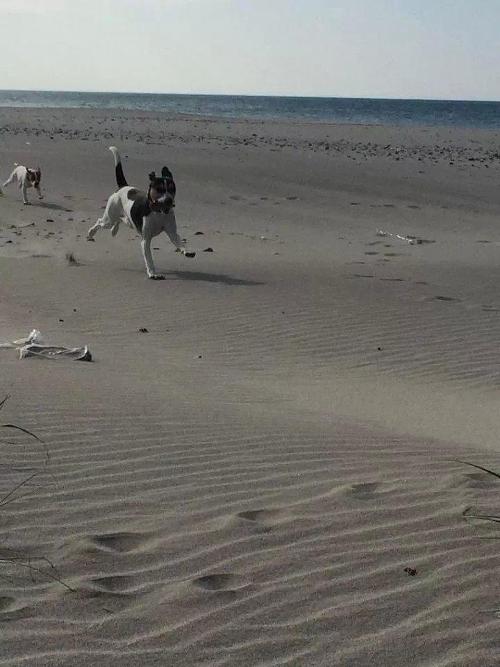 Rubjerg Mile billede 1