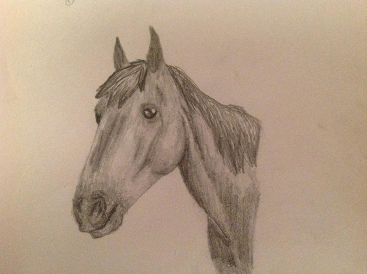 Tegninger - En hest jeg har tegnet for en fra facebook:) billede 20