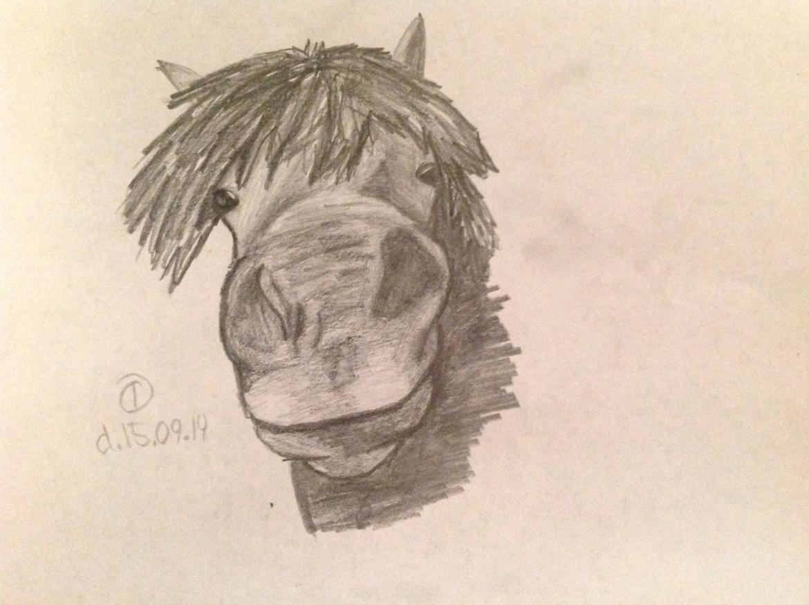 Tegninger - Min venindes pony Lucas :) billede 21