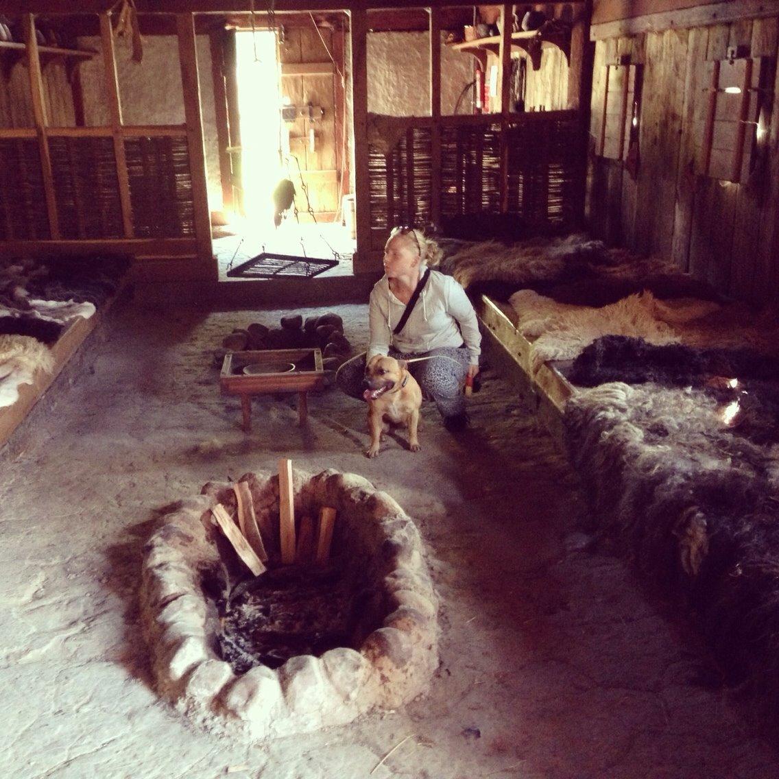 Elo`s HundeLiv billede 59