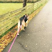 Smukke Amiga som hader mit kamera????????