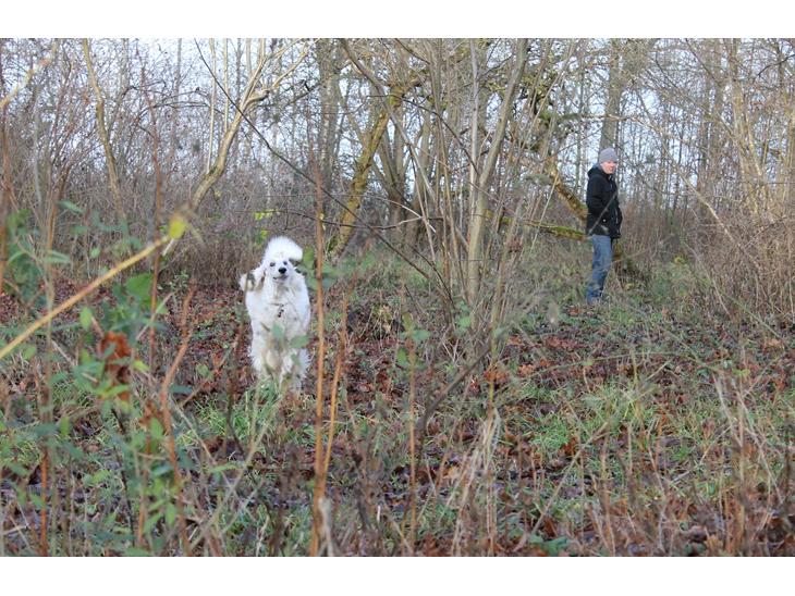 {{currentPhoto.altText}} billede {{currentPhoto.number}}