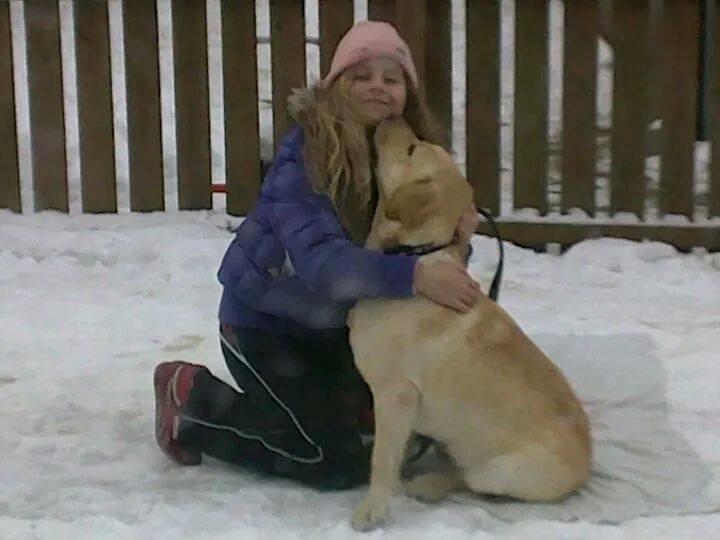 minde billeder om min labrador som hedder amber billede 4