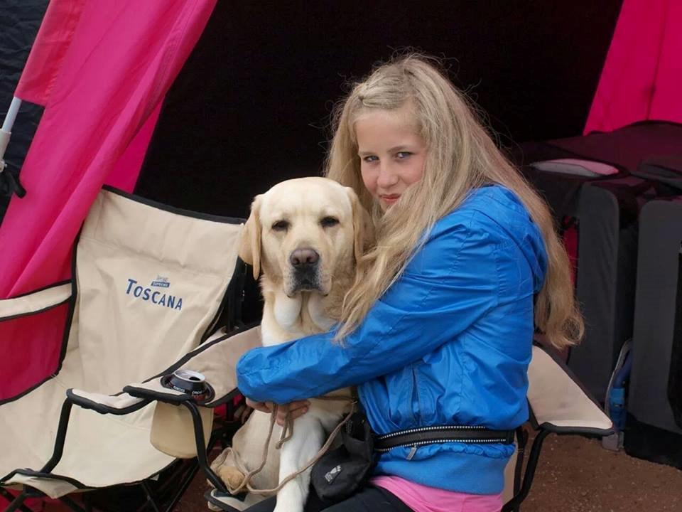 minde billeder om min labrador som hedder amber billede 6