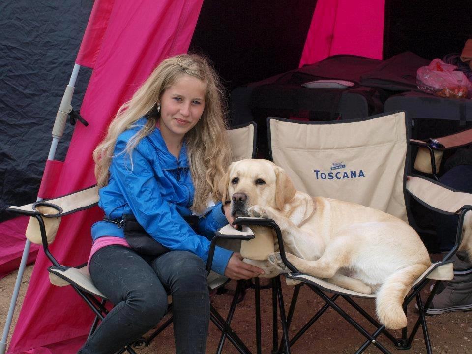 minde billeder om min labrador som hedder amber billede 9