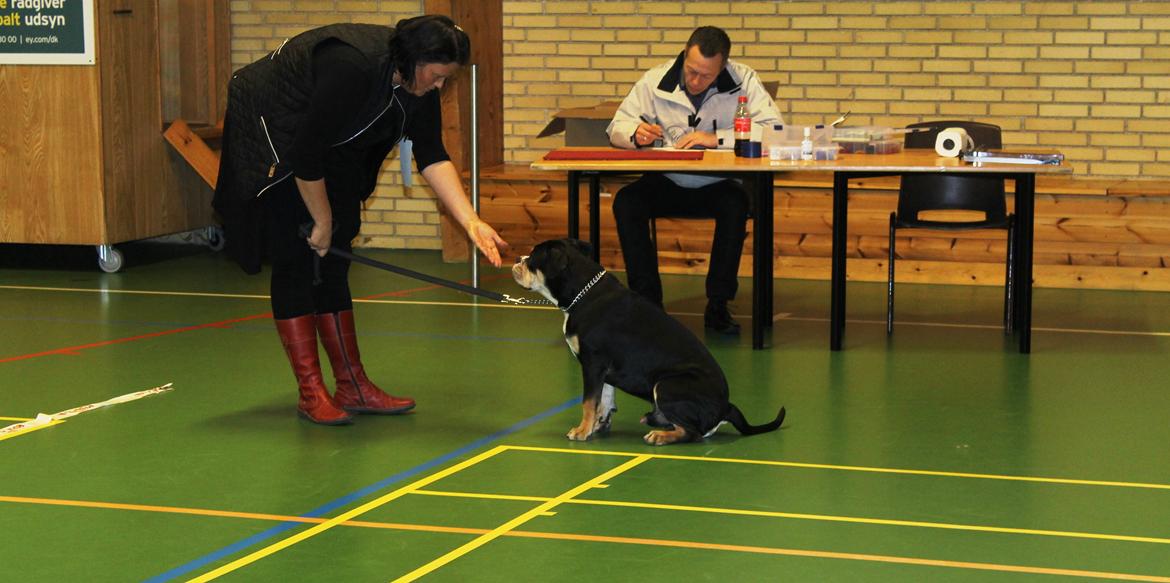 Team OEB til DHL show billede 1