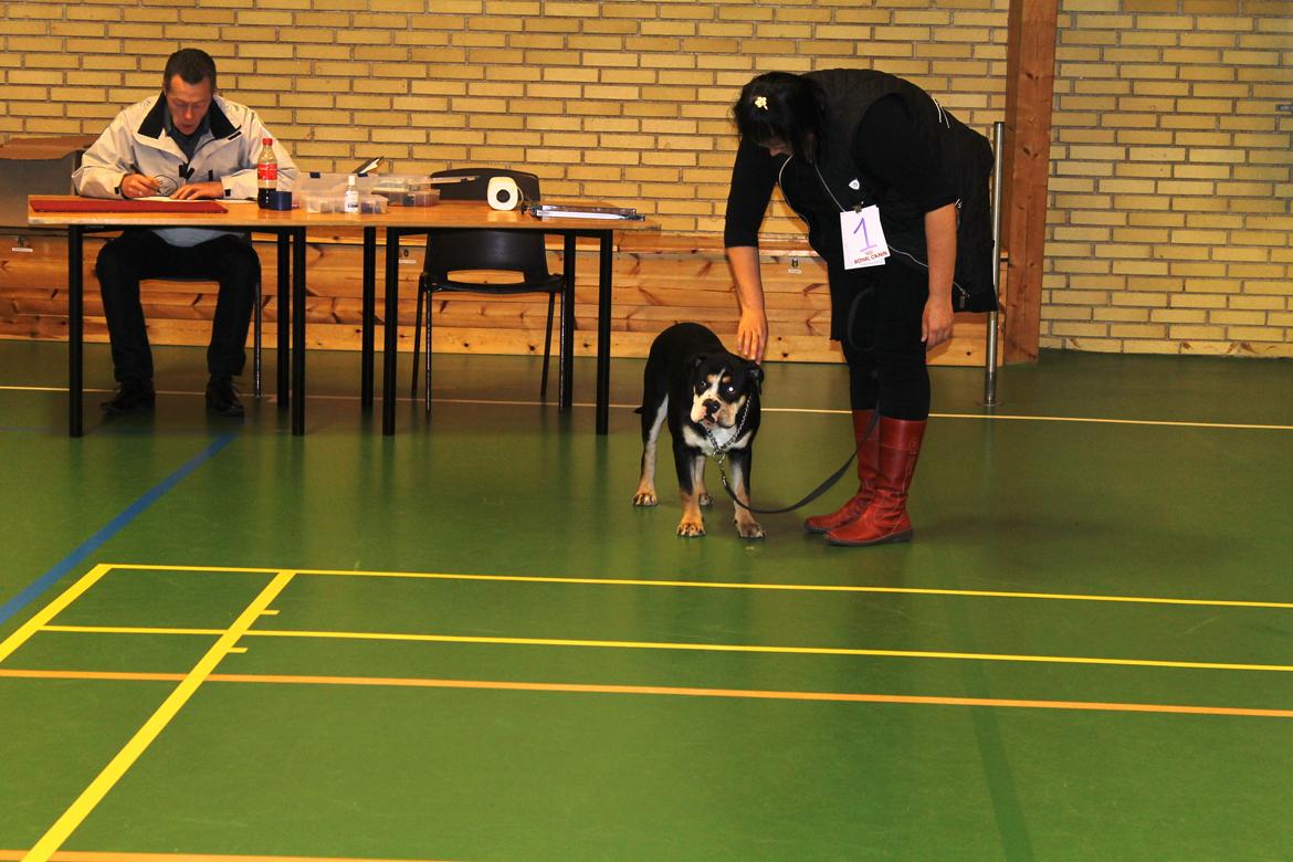 Team OEB til DHL show billede 3