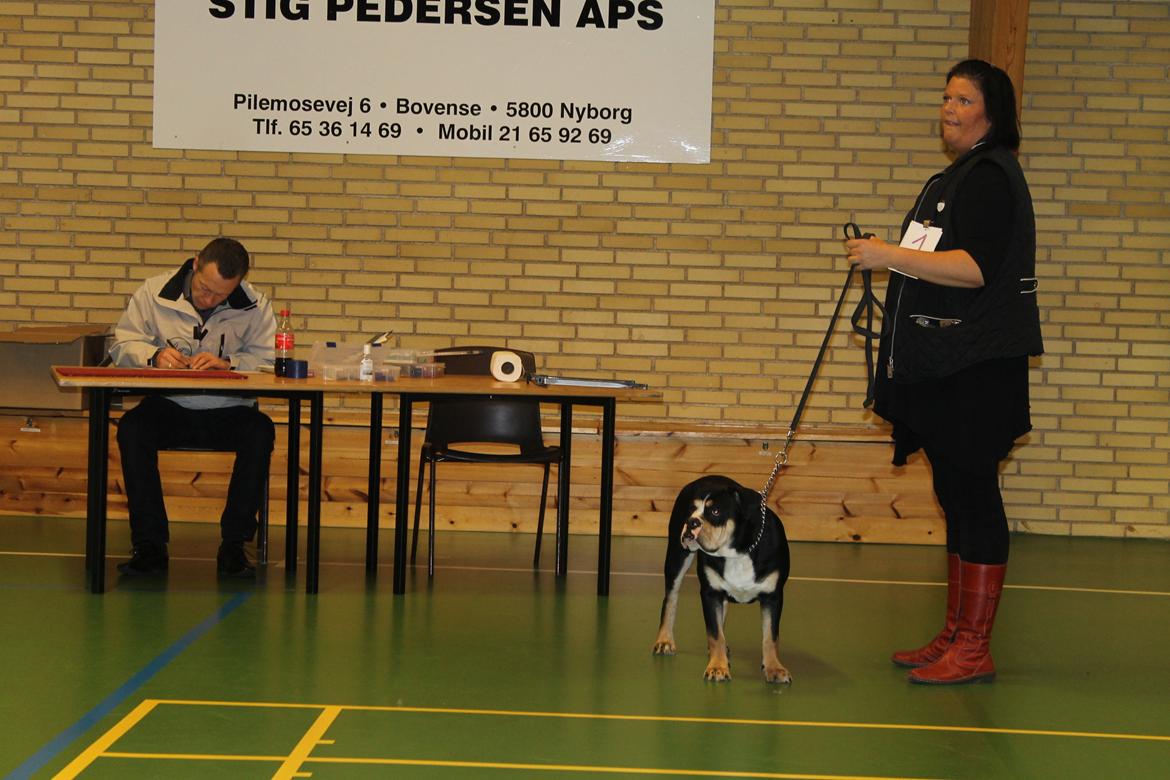 Team OEB til DHL show billede 4