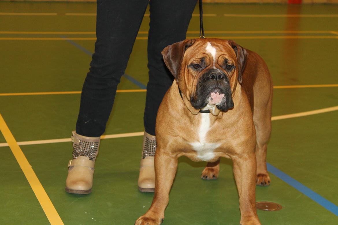 Team OEB til DHL show billede 6