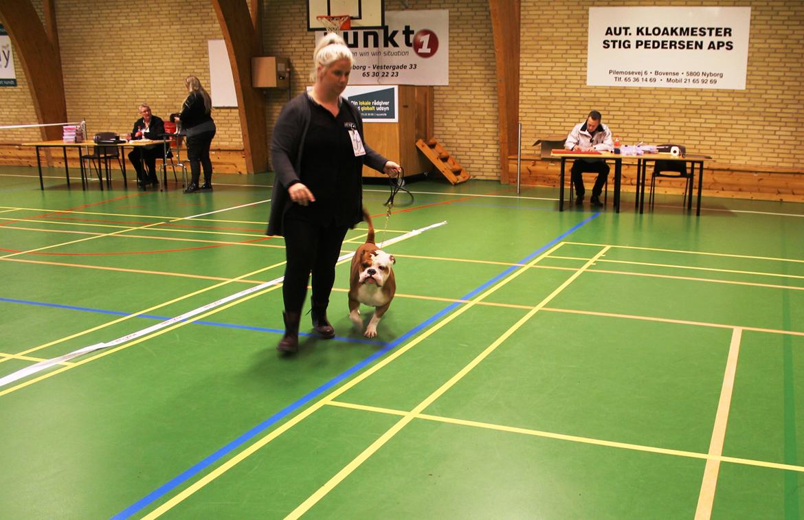 Team OEB til DHL show billede 7