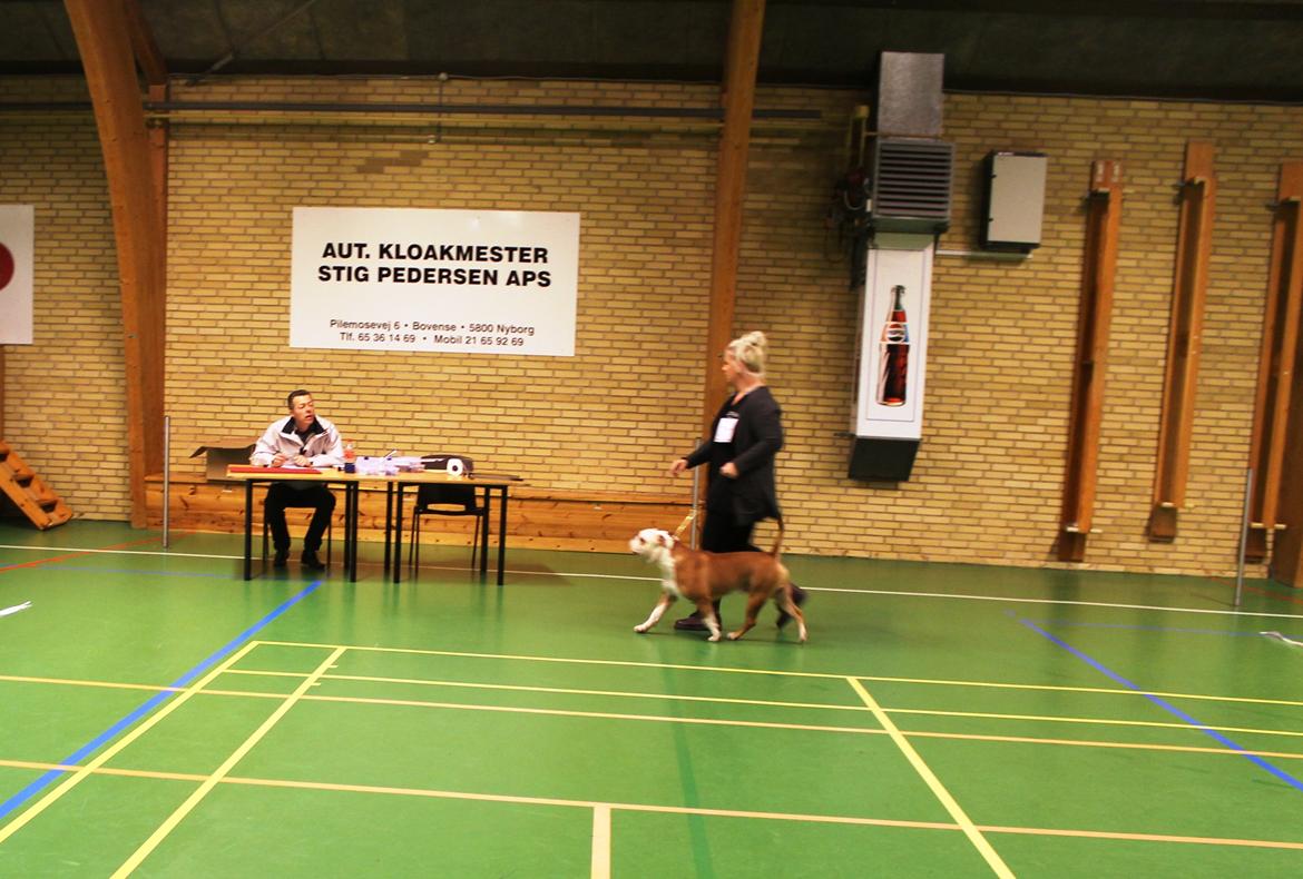 Team OEB til DHL show billede 8