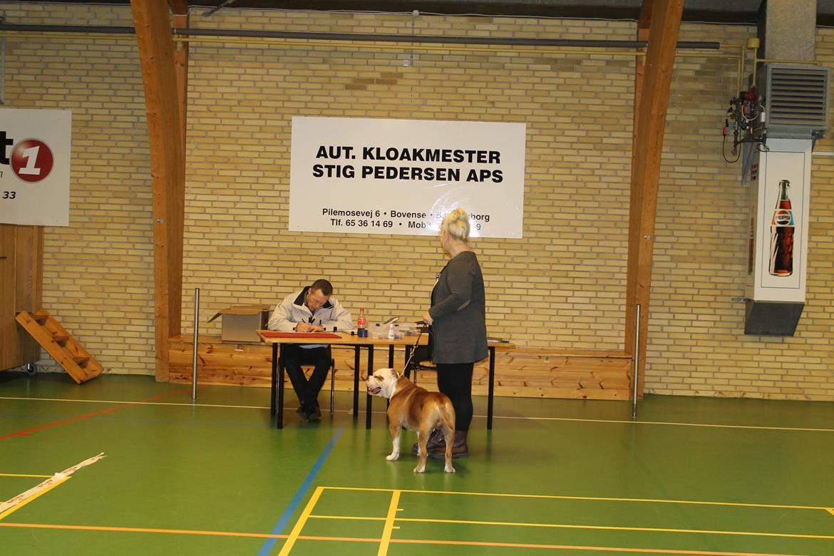 Team OEB til DHL show billede 9