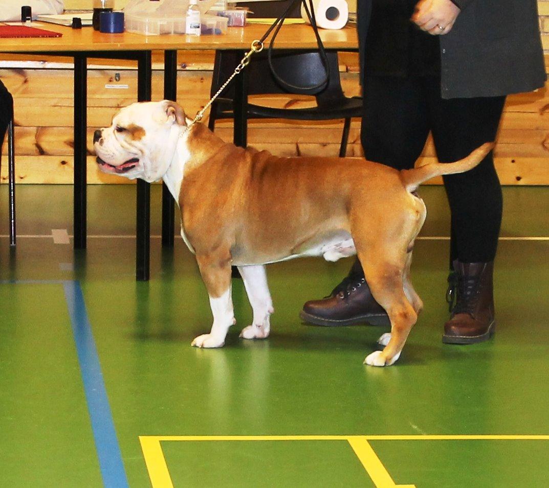 Team OEB til DHL show billede 10