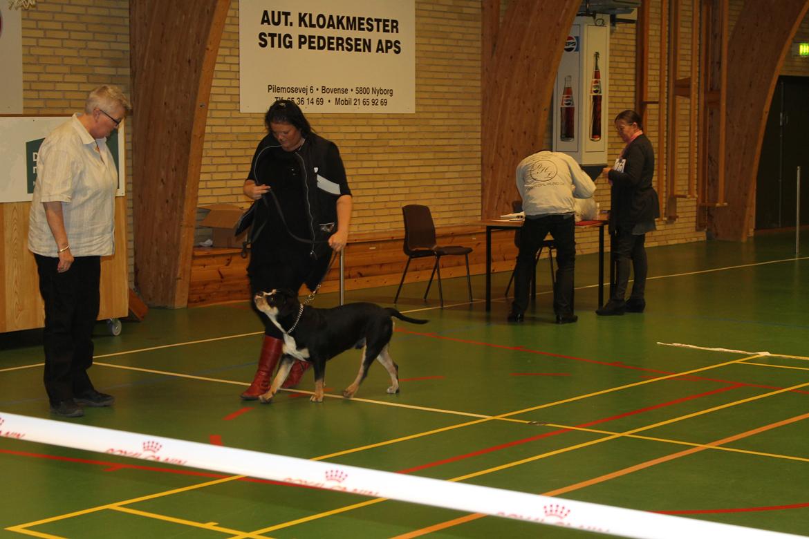 Team OEB til DHL show billede 12