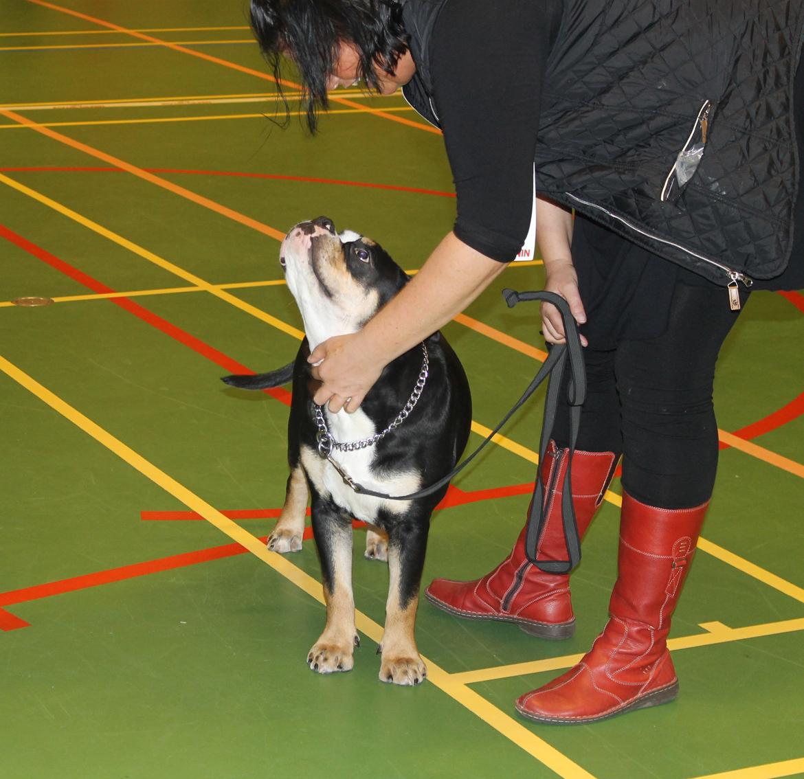 Team OEB til DHL show billede 13