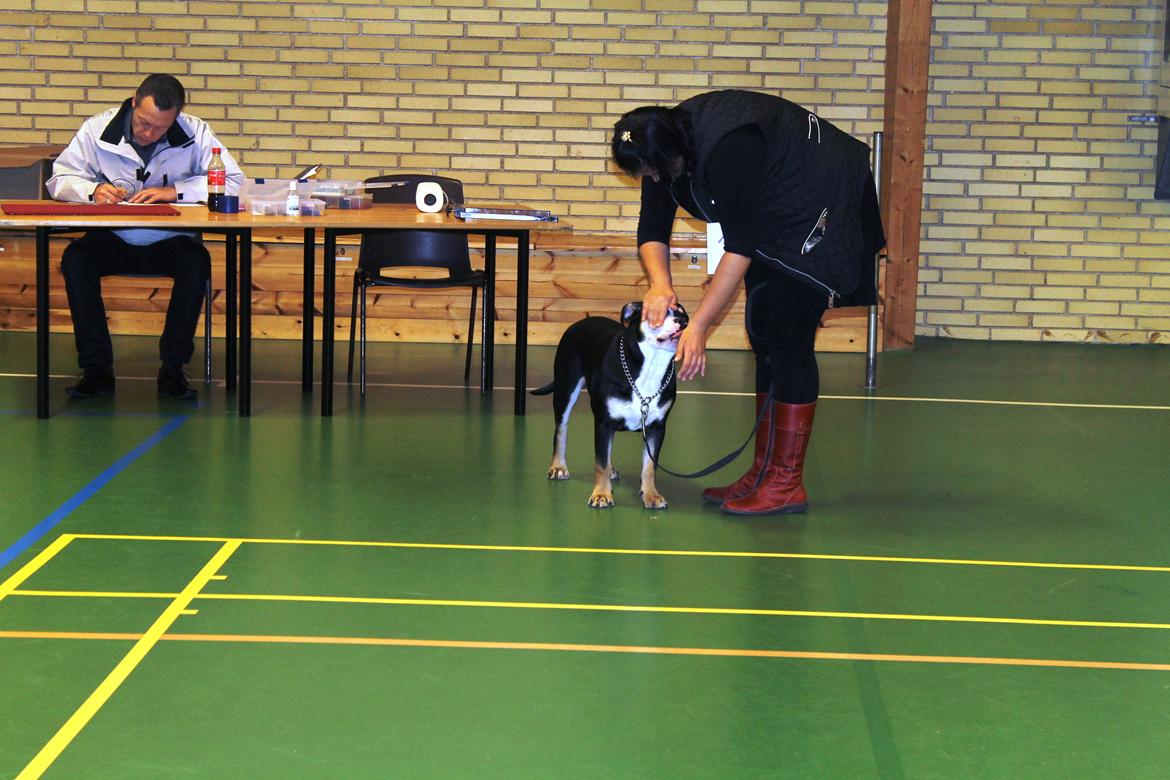 Team OEB til DHL show billede 2