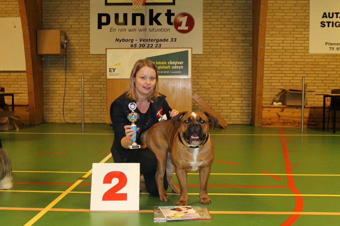 Team OEB til DHL show billede 33