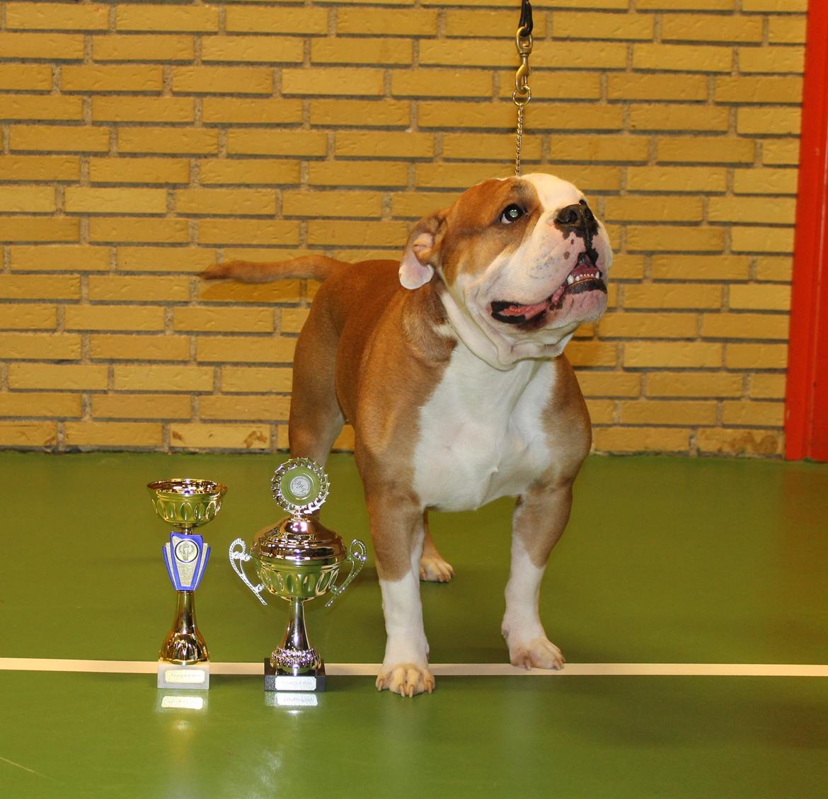 Team OEB til DHL show billede 34