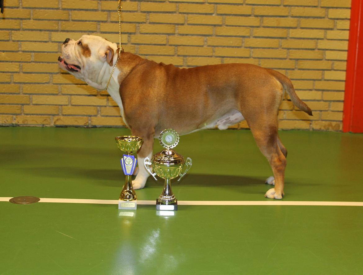 Team OEB til DHL show billede 36