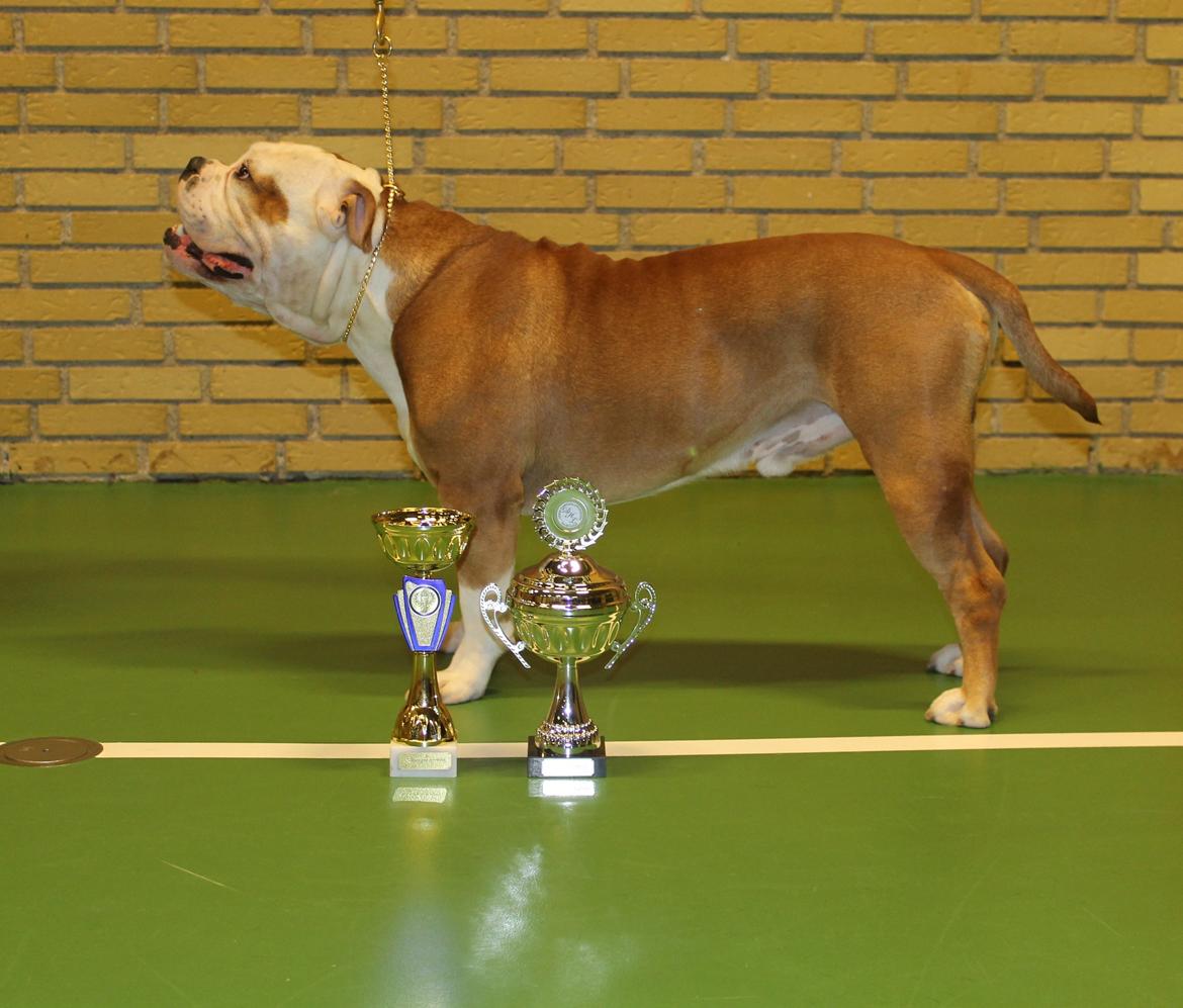 Team OEB til DHL show billede 37