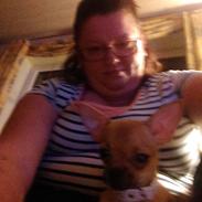 min dejlige hund musse  