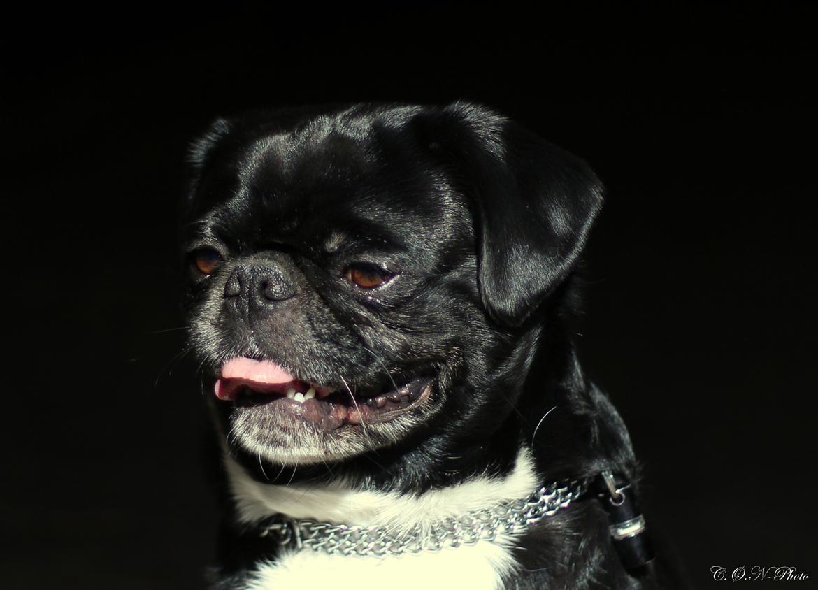 LowKey billeder af charmetrolden billede 2