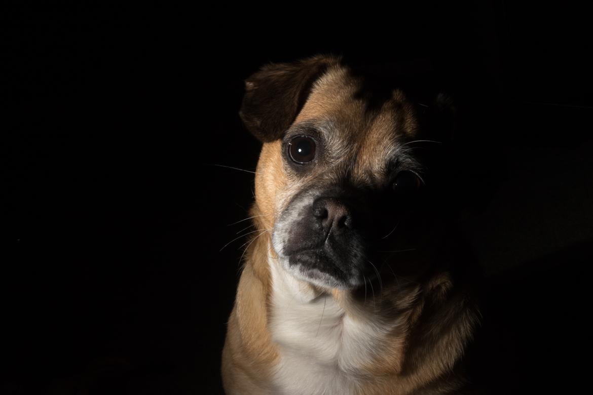 Low key billeder billede 2