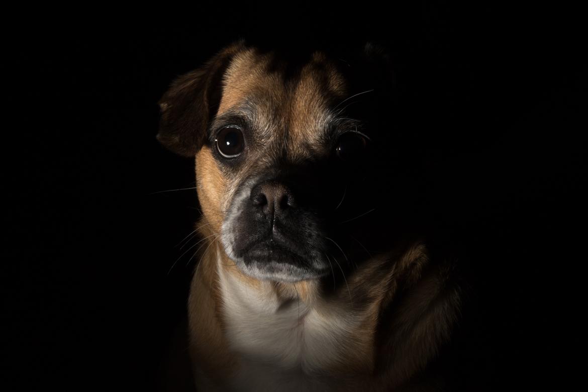 Low key billeder billede 1