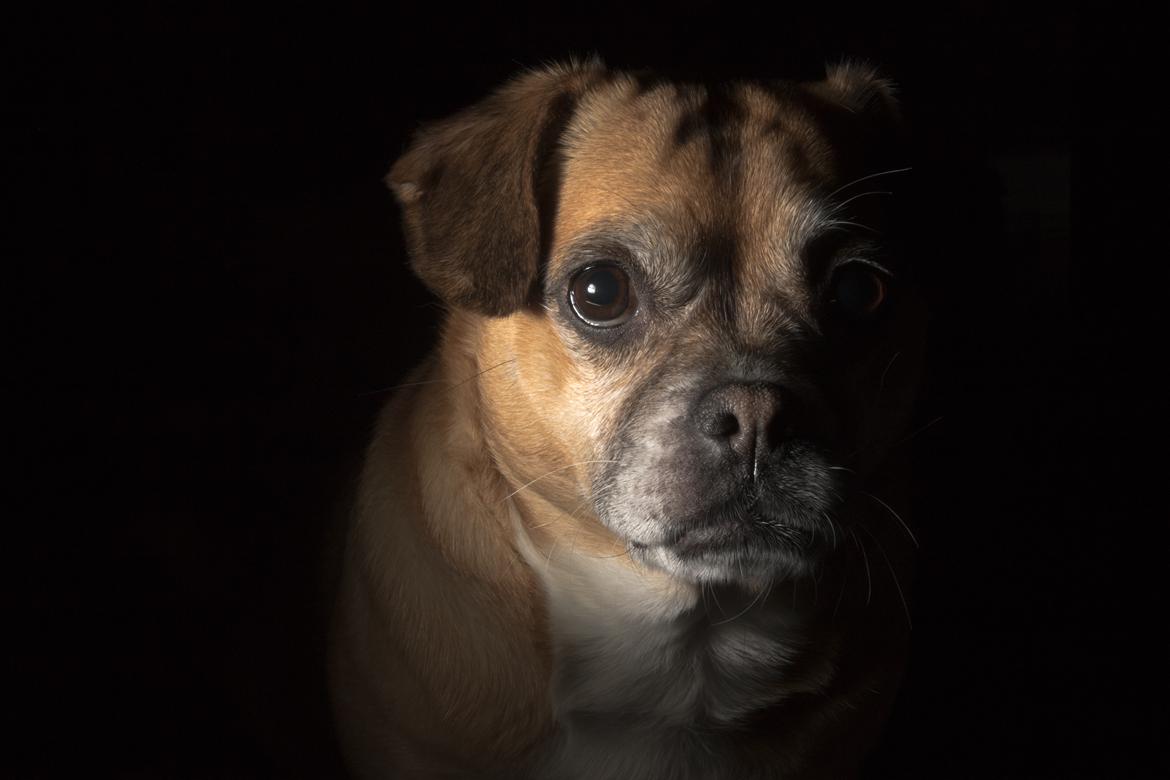 Low key billeder billede 3