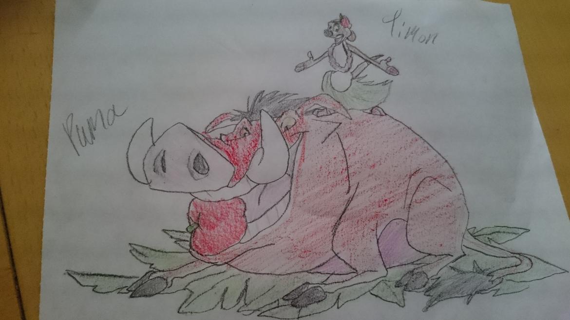 Disney/pixar/dremwork - fik brugt de forkerte farver ?? billede 3