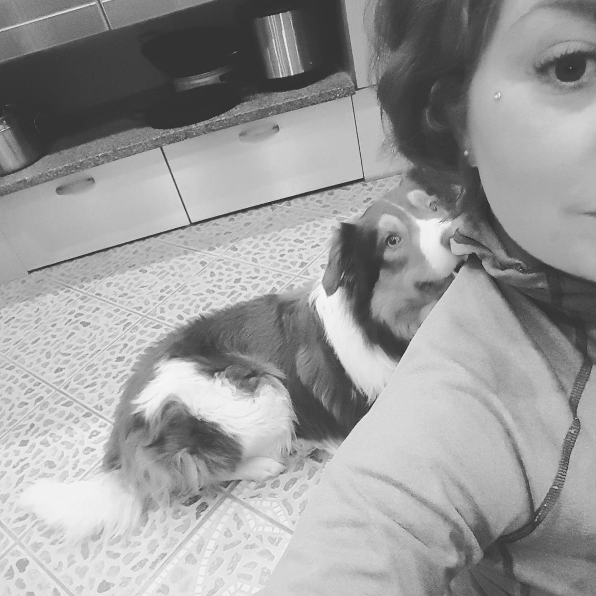 Random billeder af Max. billede 2