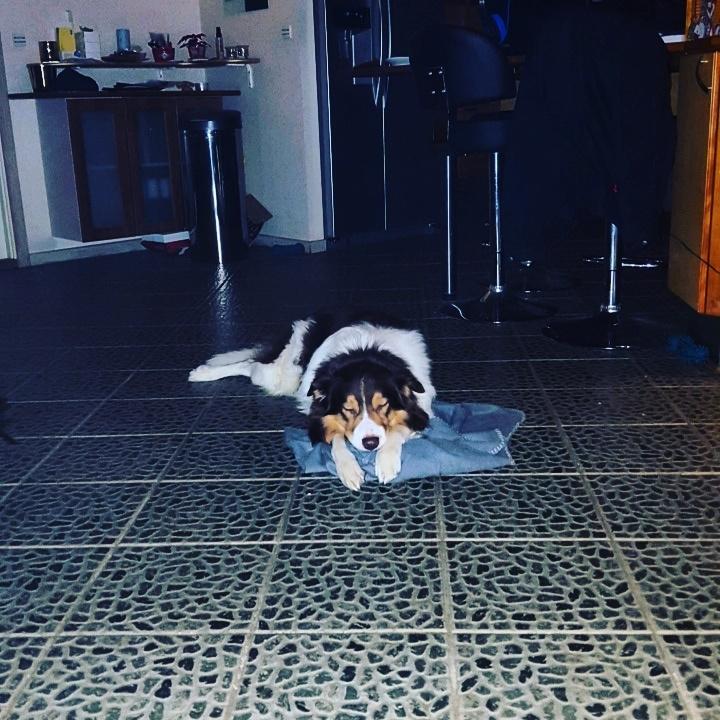 Random billeder af Max. billede 17