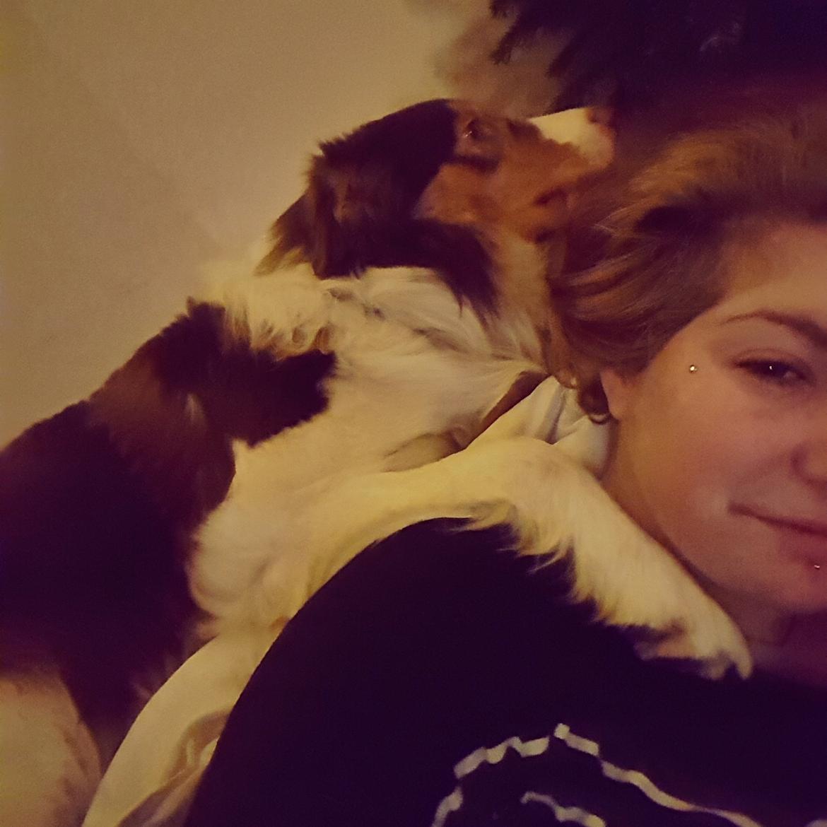 Random billeder af Max. billede 19