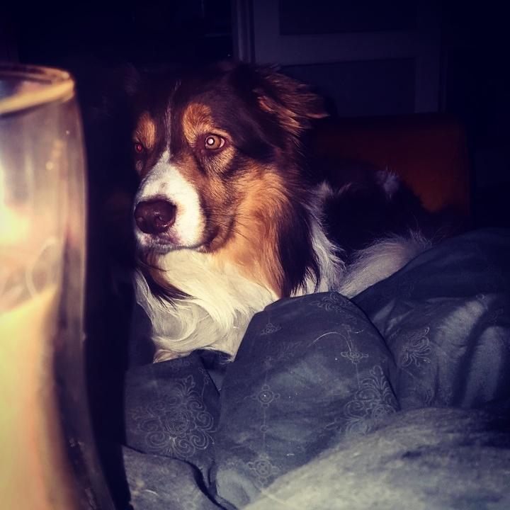 Random billeder af Max. billede 21