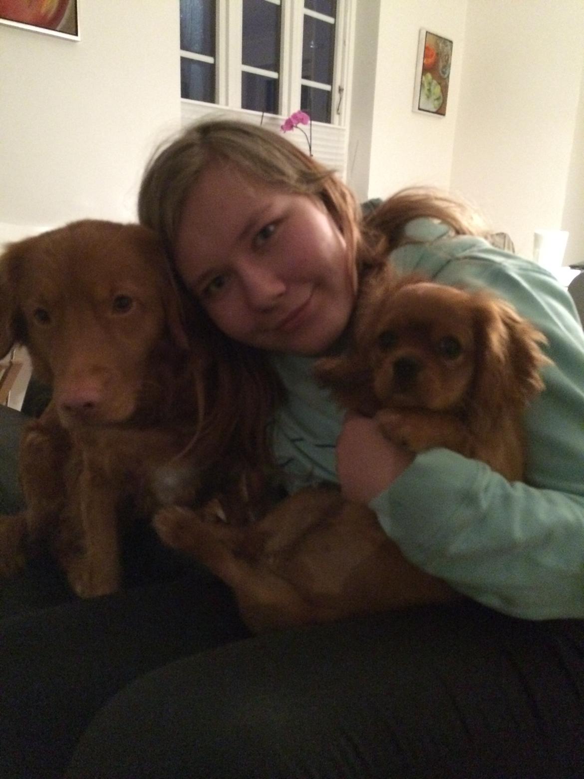 sjove og søde selfies og billeder med hundene :) - bebz og bobz d. 2/4 2014 billede 4