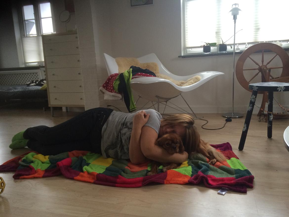 sjove og søde selfies og billeder med hundene :) billede 8