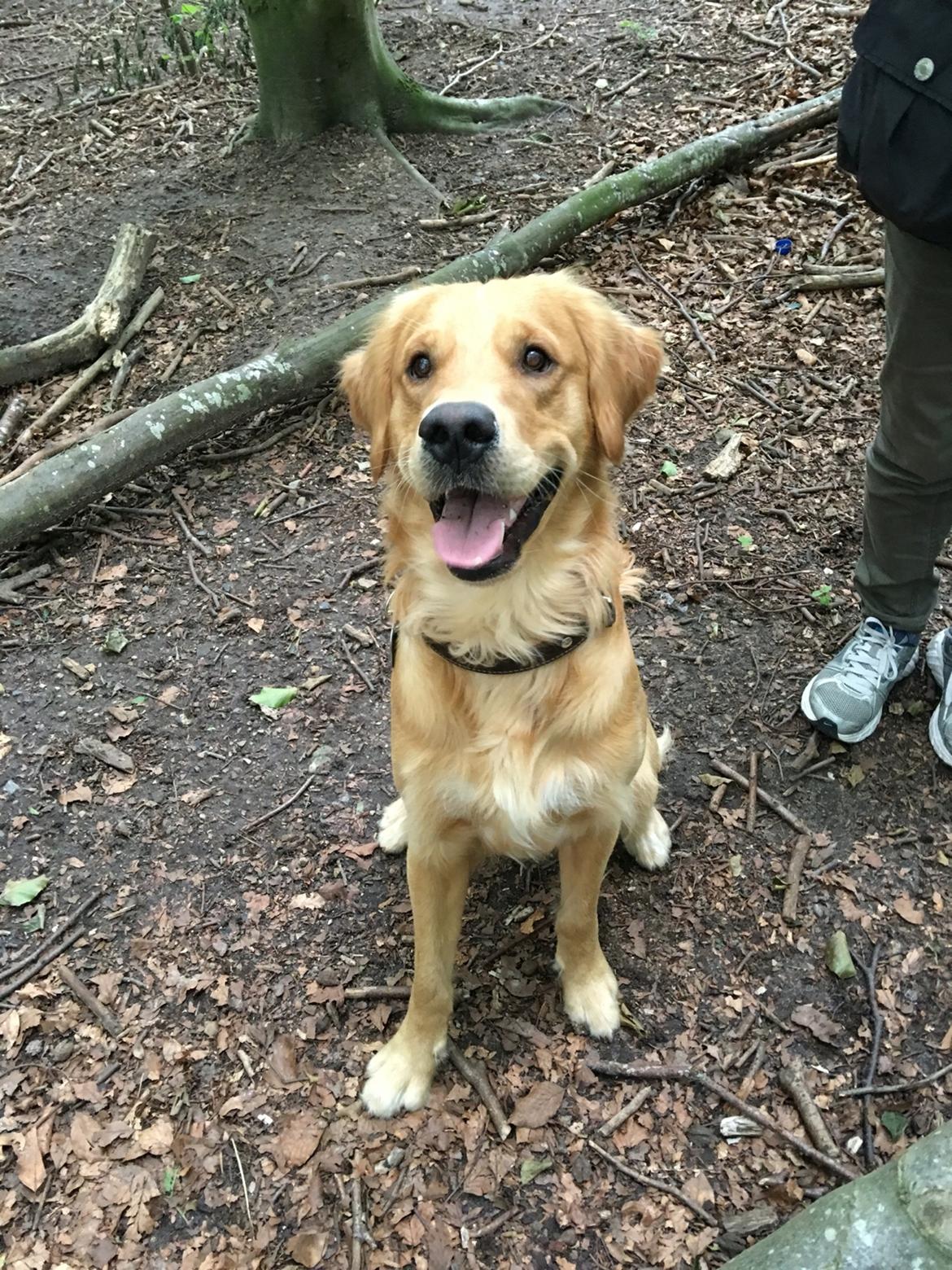 Gulddrengen :* billede 6