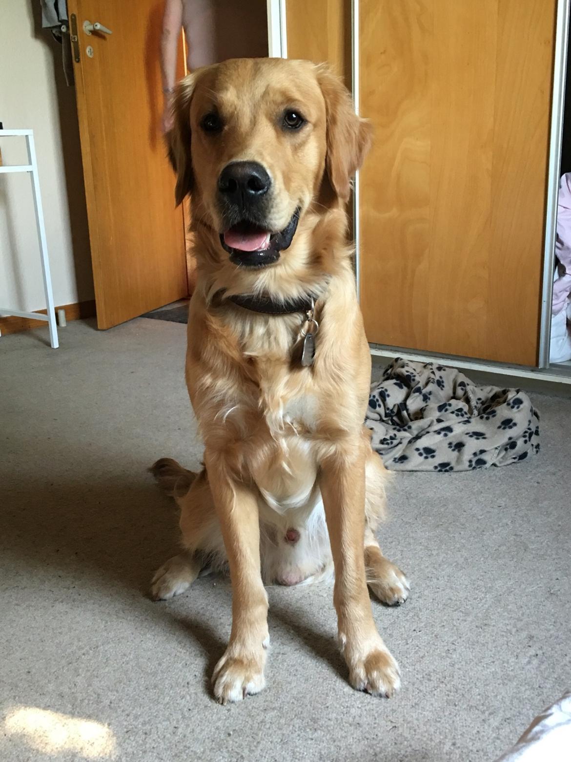 Gulddrengen :* billede 9